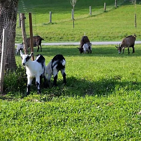 Bauernhof Kaspergut Farm stay *
