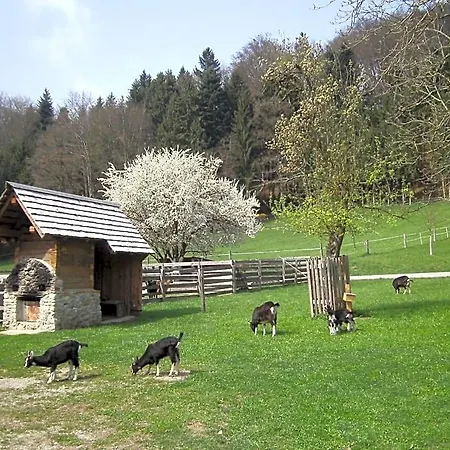 Farm stay Bauernhof Kaspergut