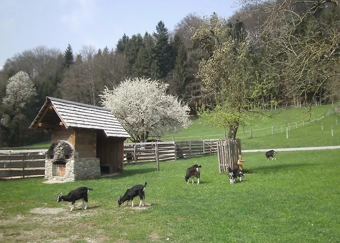 Bauernhof Kaspergut * Kirchberg bei Mattighofen