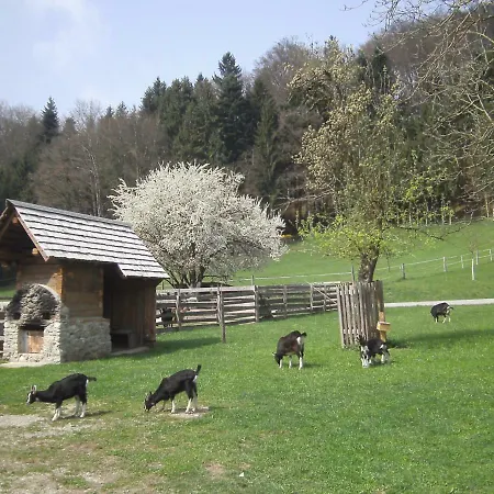 Bauernhof Kaspergut * Kirchberg bei Mattighofen